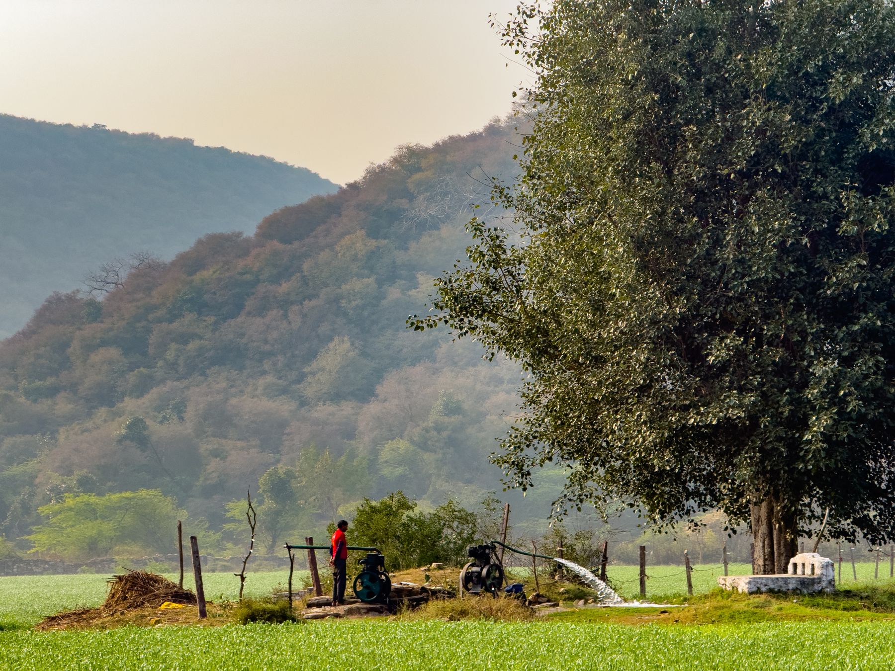 Rural Field Against Forested Hills